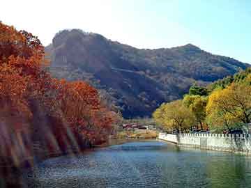 新澳天天开奖资料大全旅游团，水泥枕木